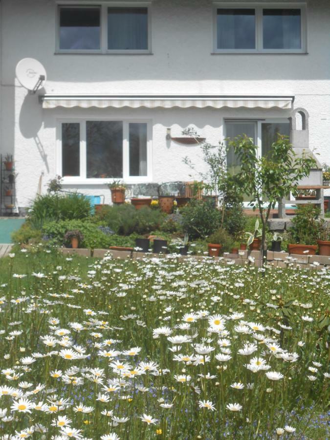 Ferienwohnung Casa Mia Spiegelau Exterior photo